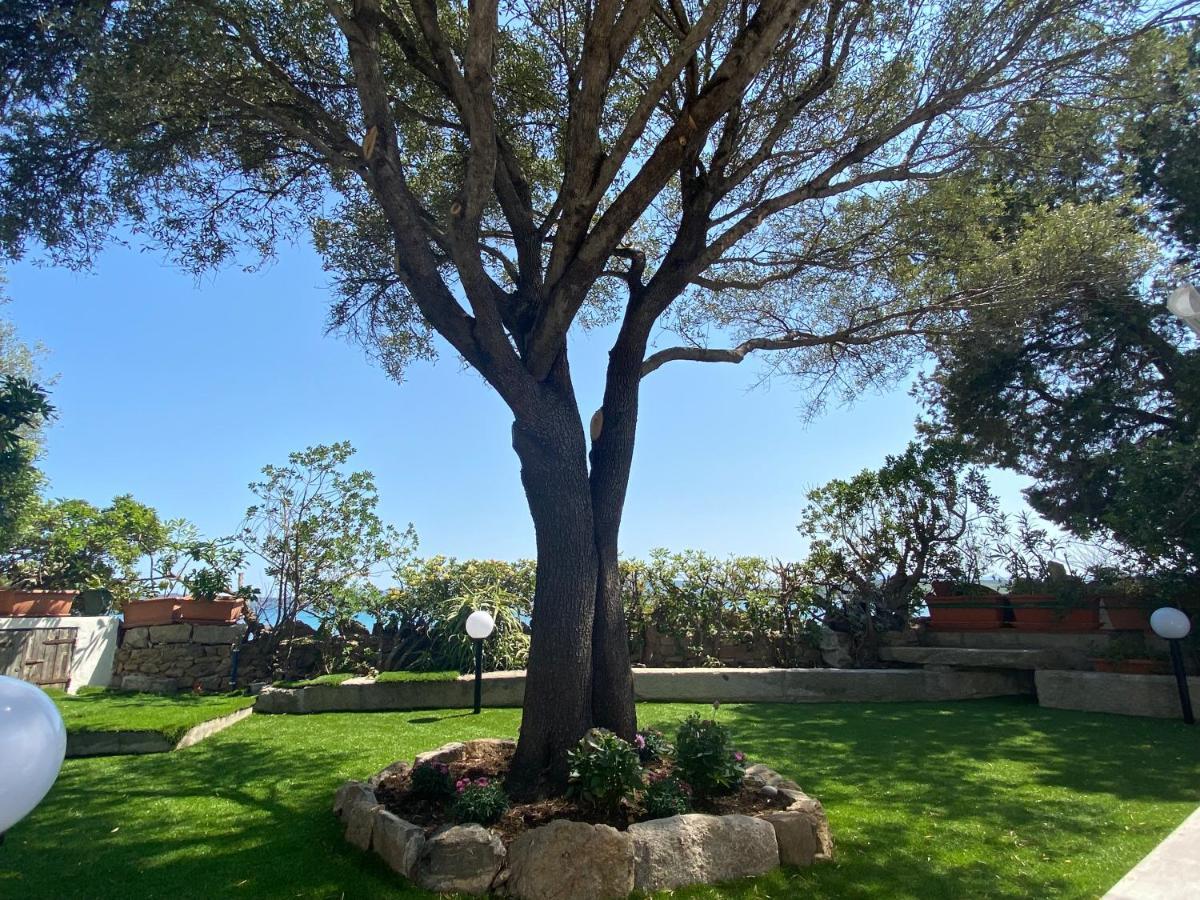 Vila La Casa Sull'Acqua Olbia Exteriér fotografie