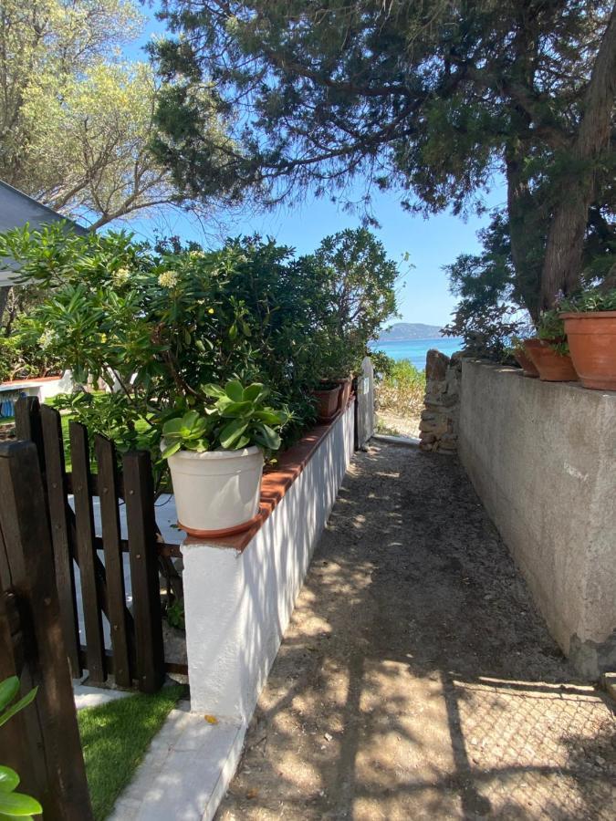 Vila La Casa Sull'Acqua Olbia Exteriér fotografie